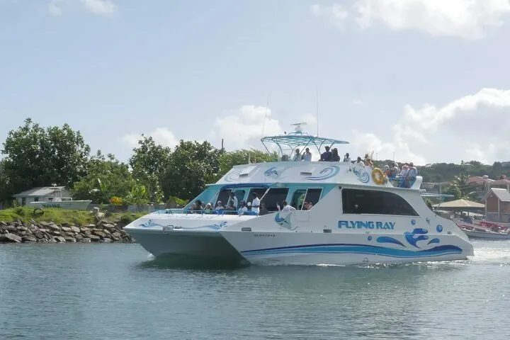 Flying Ray — Departing Port